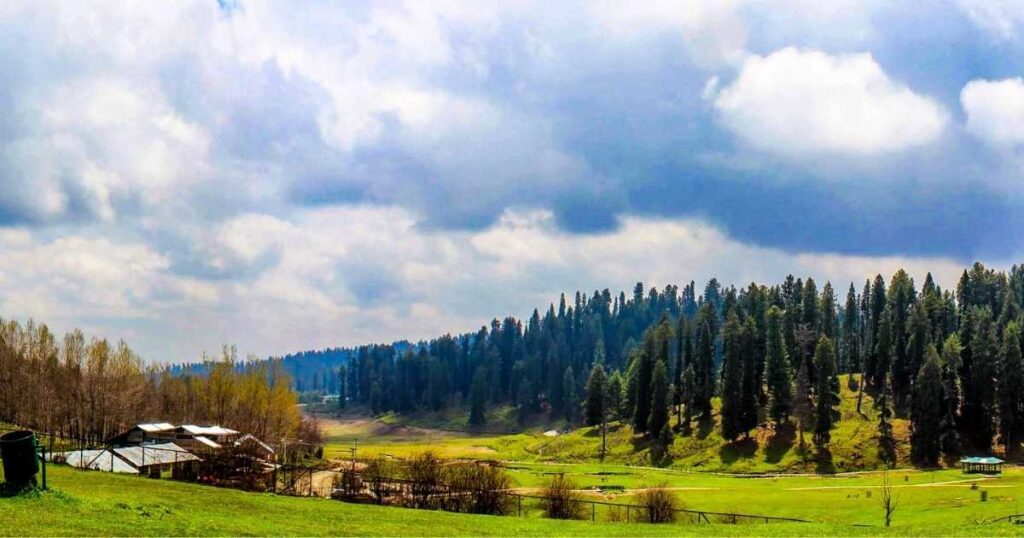 Yusmarg, The Trip Suggest, Jammu Kashmir