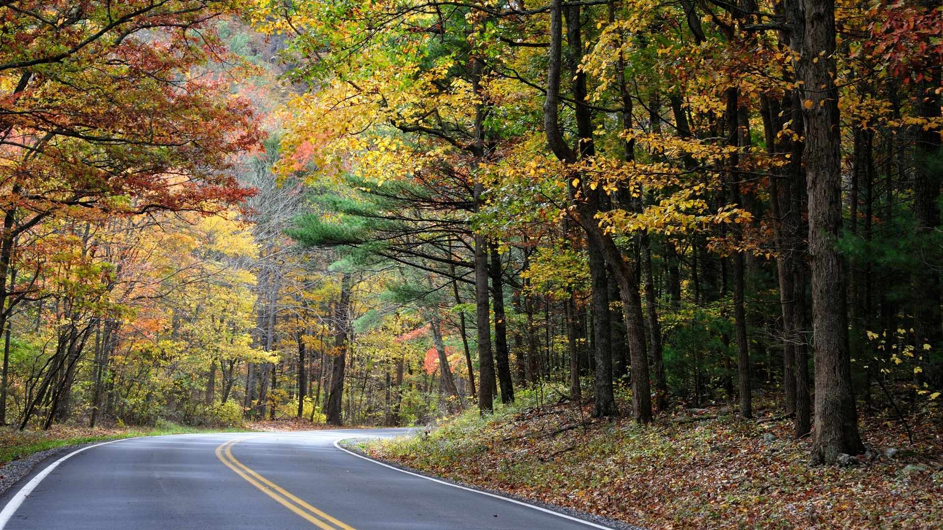 10 Must-Do Road Trips in North America