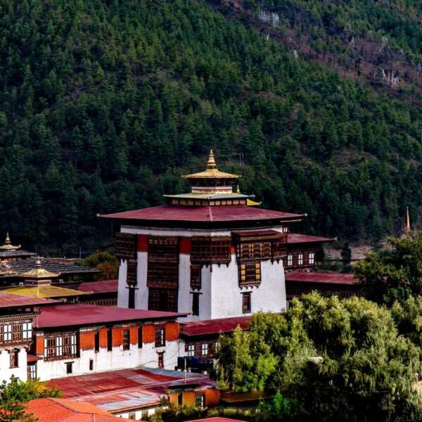 Adventure Places to Visit in Bhutan From Trekking Mountains to Jungle Safari