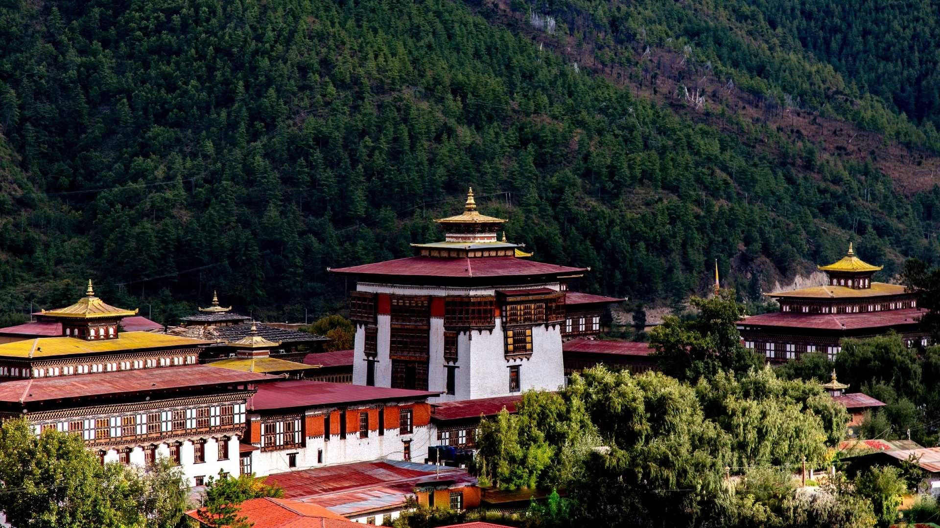 Read more about the article Adventure Places to Visit in Bhutan: From Trekking Mountains to Jungle Safari