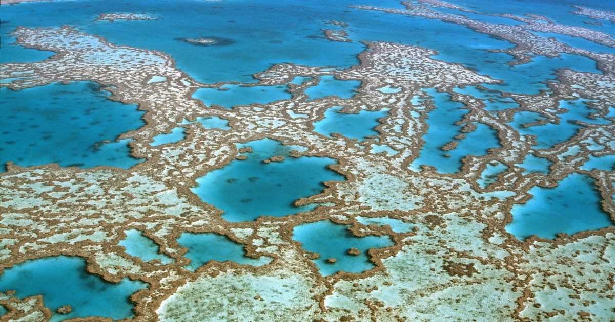 Bermuda Islands and the Great Barrier Reef