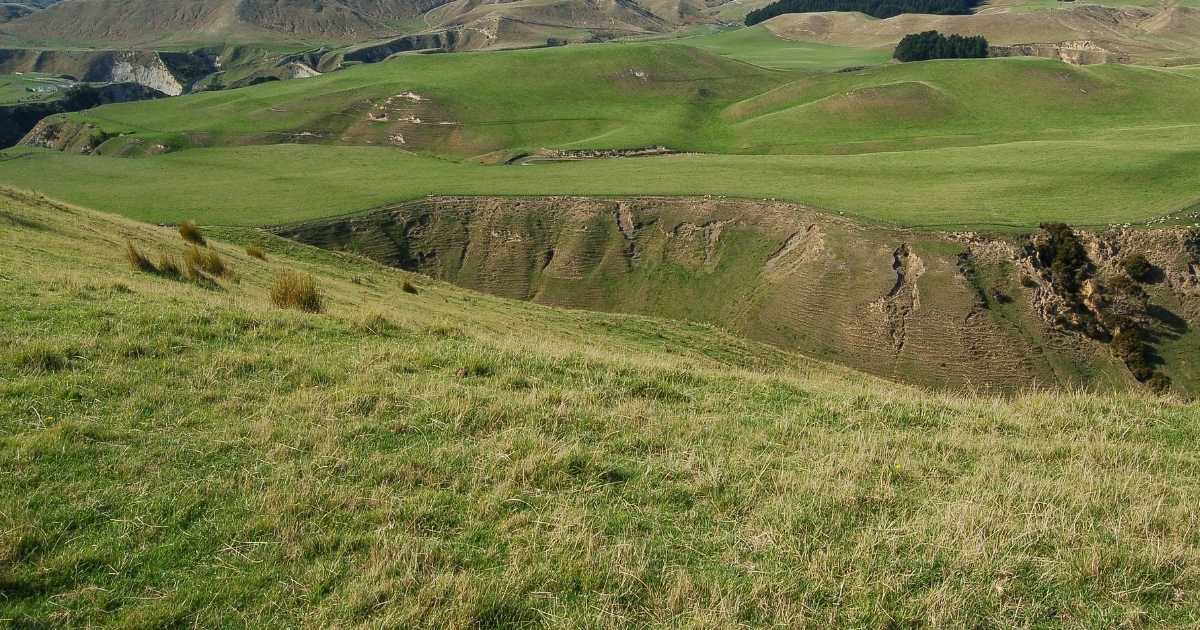 Cape Kidnappers, Columbia