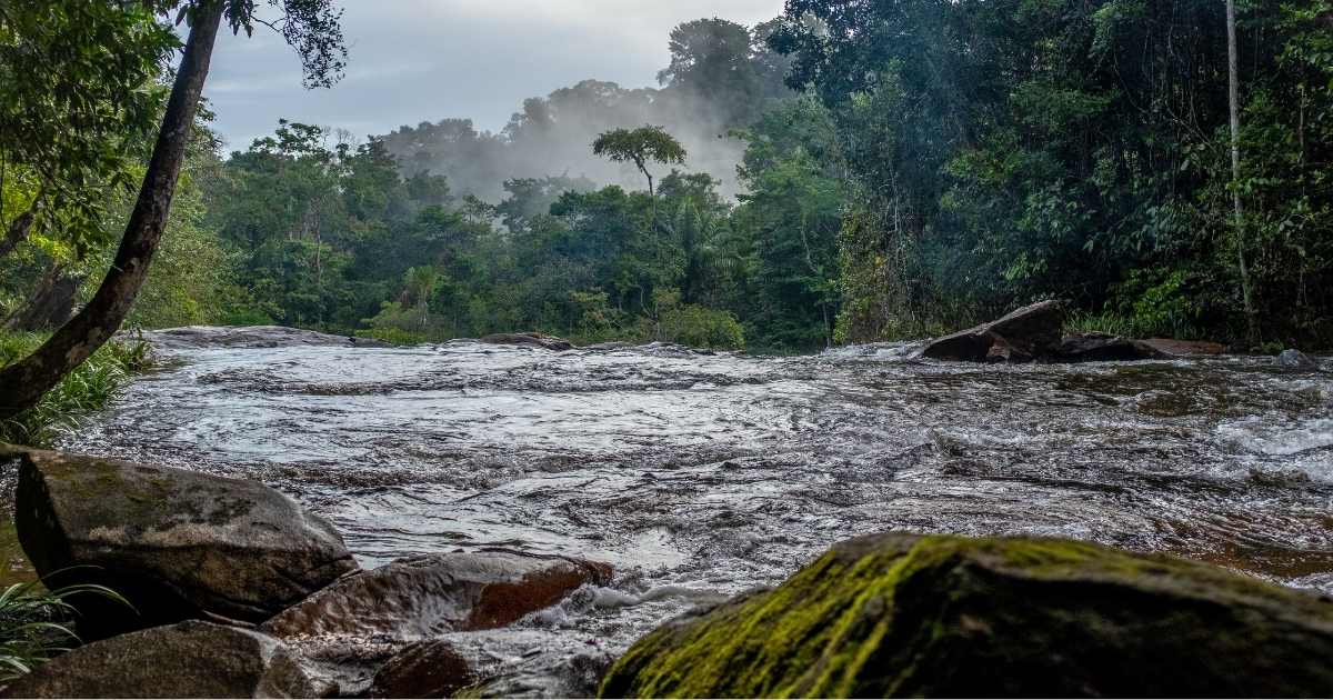 French Guiana's Salvation Islands