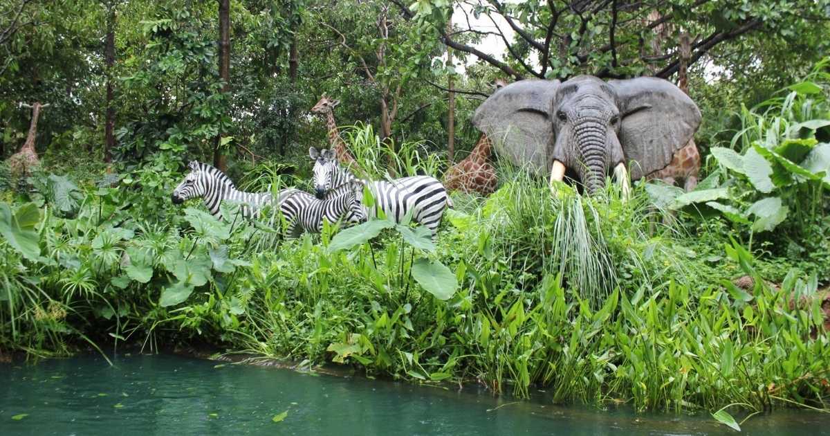 Jungle safari in Bhutan 