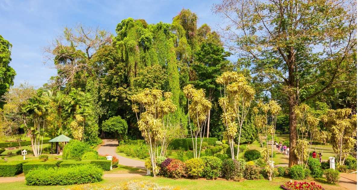 Kings Park and Botanical Garden