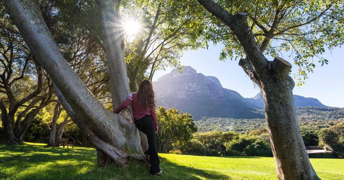 Kirstenbosch Garden Cape Town