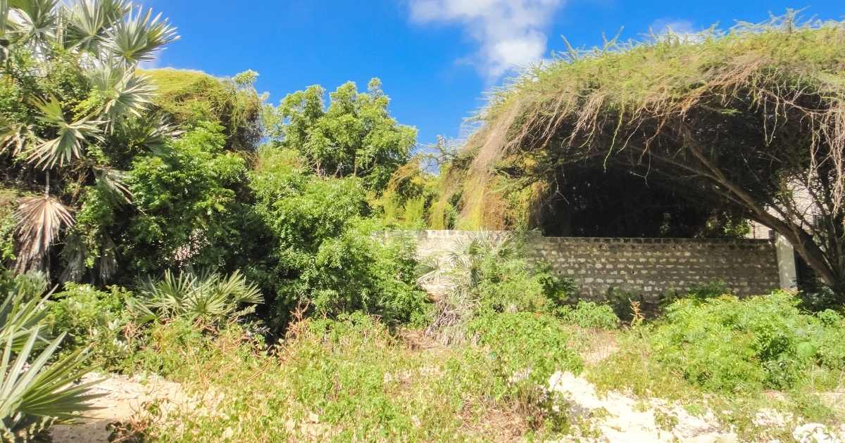 Lamu Archipelago, Kenya