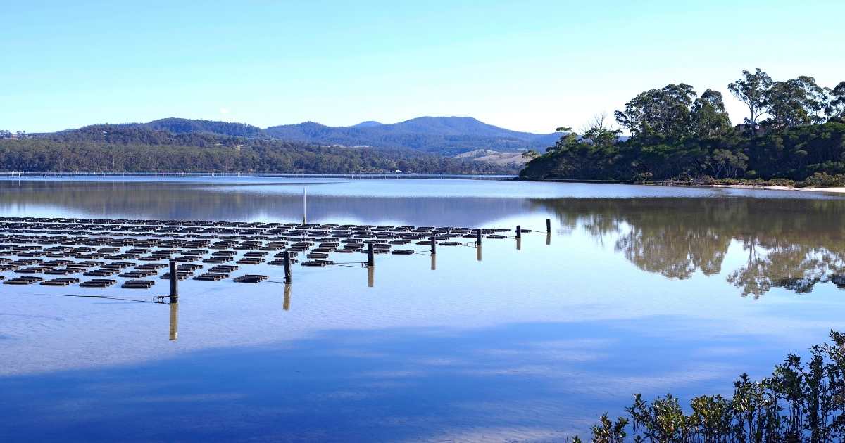 NSW's Merimbula