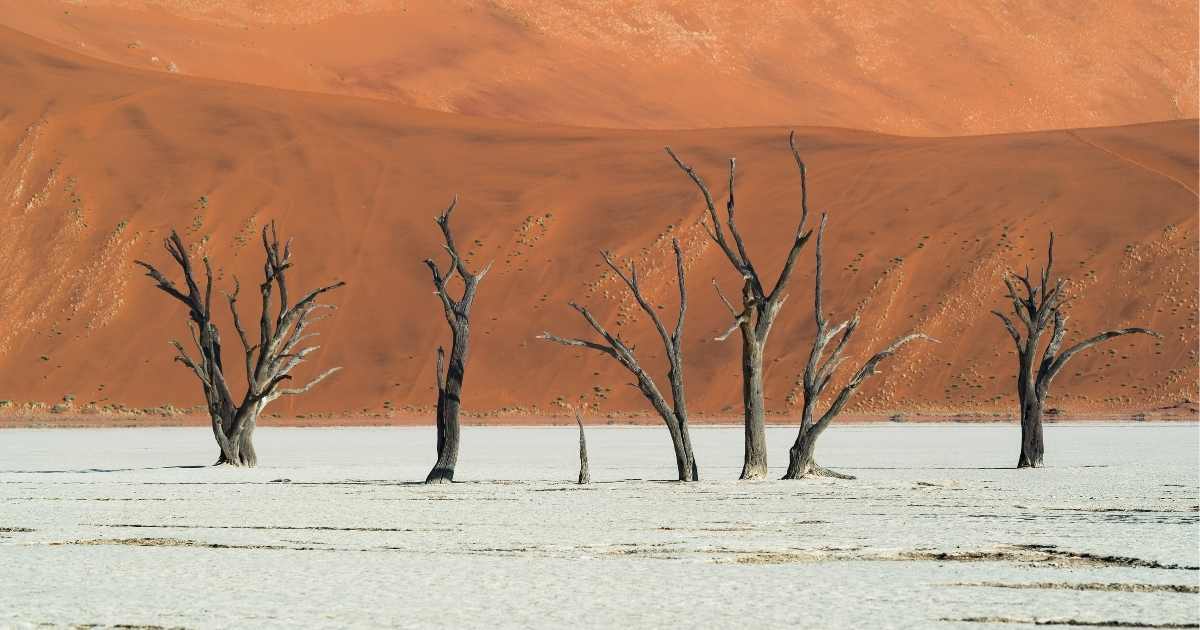 Namibia, South Africa