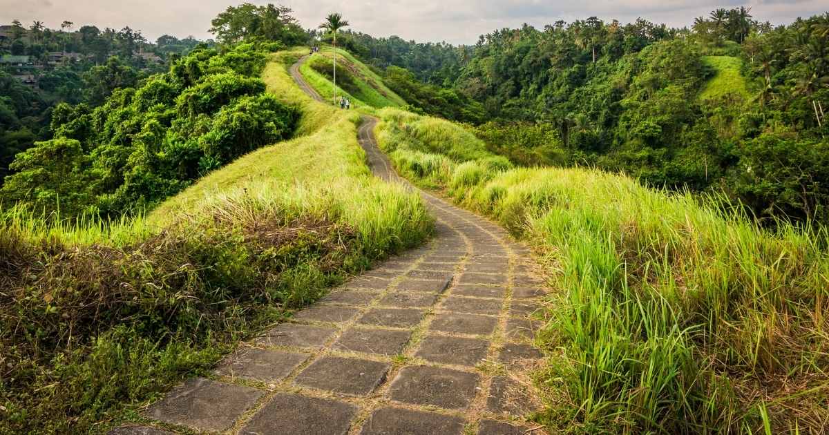 Stroll along the Campuhan Ridge