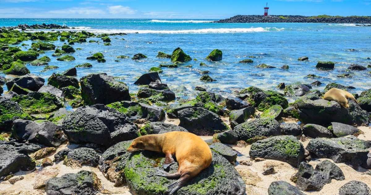 Tortuga Bay, Galapagos Islands, Ecuador