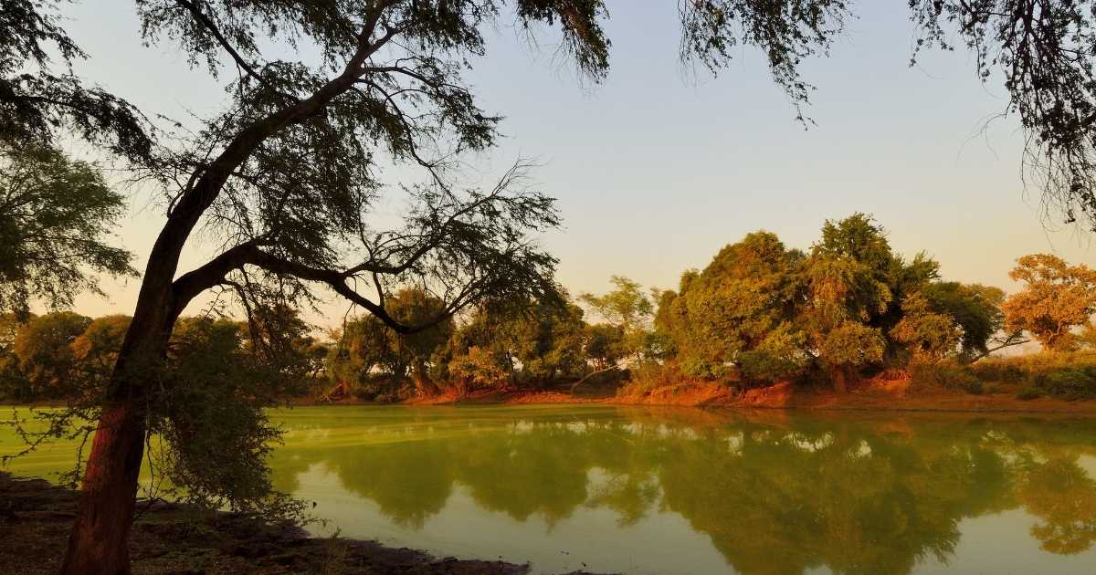kruger national park, South Africa