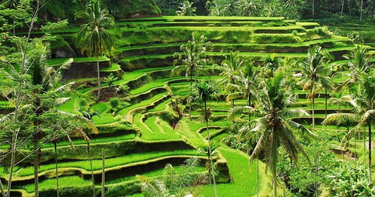 10 Affordable Places to Visit in Bali