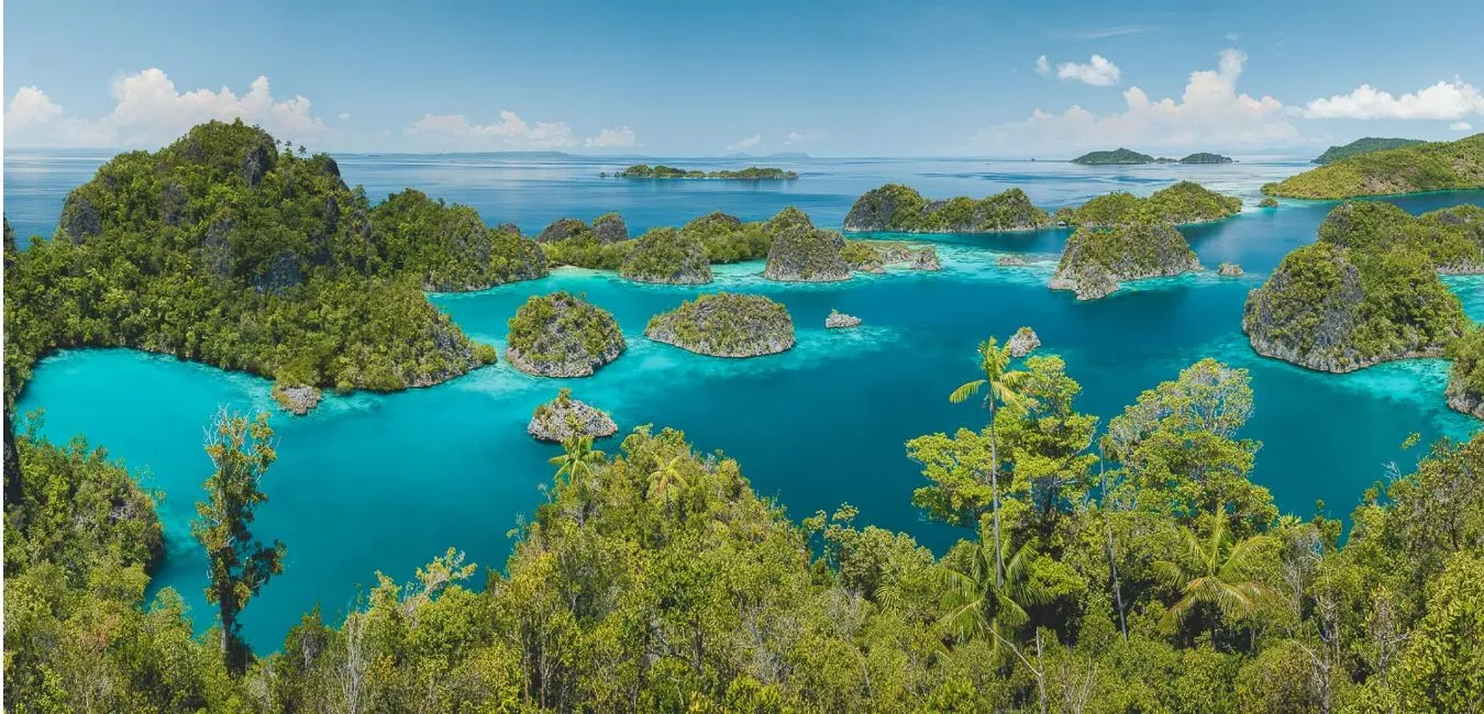 Read more about the article Indonesia Travel Guide: Places To Visit in Indonesia, Beaches, & More
