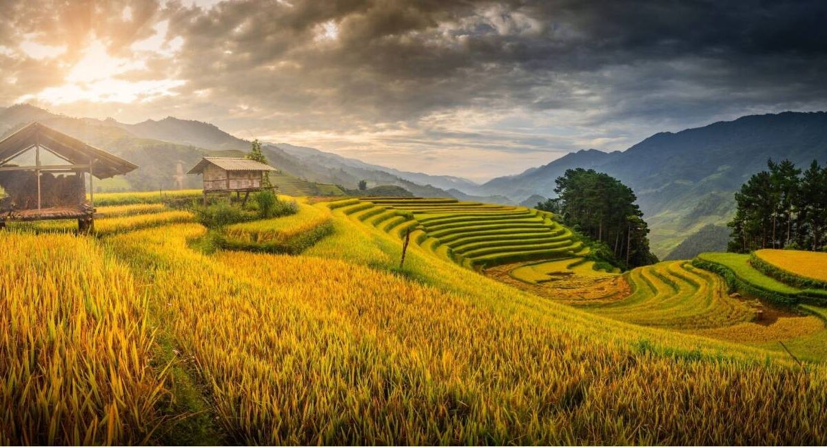 Places to visit in vietnam - thetripsuggest