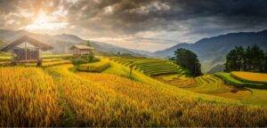 Read more about the article Vietnam Travel Guide: Beautiful Places To Visit In Vietnam, Islands, & More