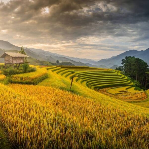 Places to visit in vietnam - thetripsuggest