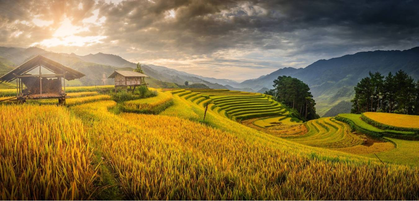 Read more about the article Vietnam Travel Guide: Beautiful Places To Visit In Vietnam, Islands, & More