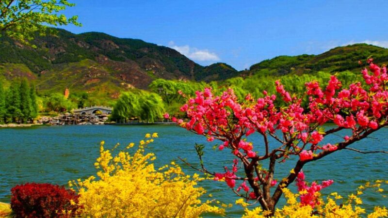 things to do in jammu - thetripsuggest