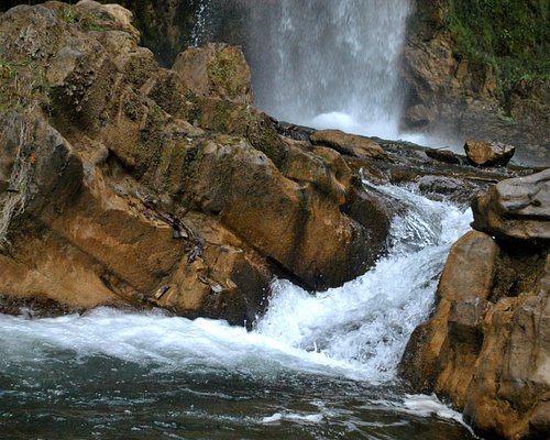  tourist places near dehradun within 50 kms - thetripsuggest
