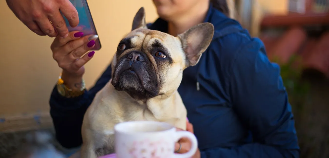 Read more about the article Dog Cafes in Mumbai for a date with your pup