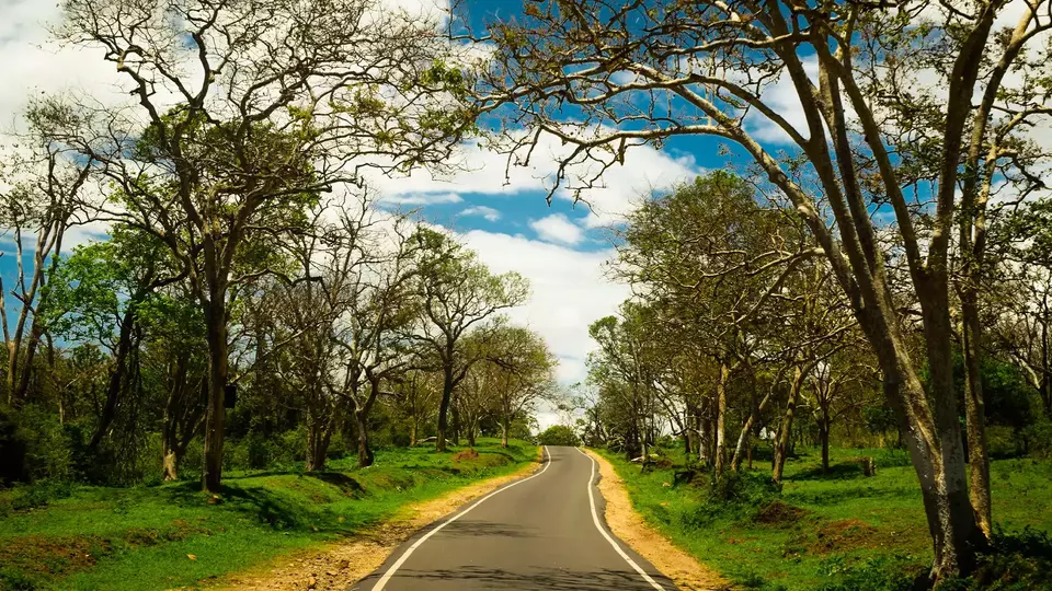 long weekend getaways from Bangalore  - thetripsuggest