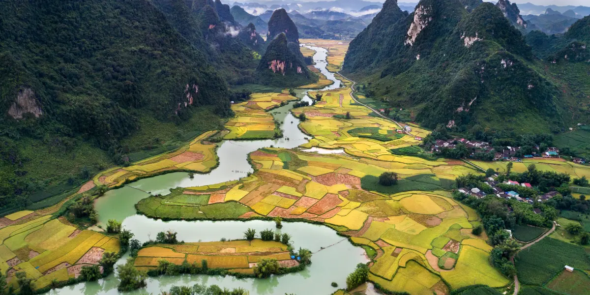 Vietnam