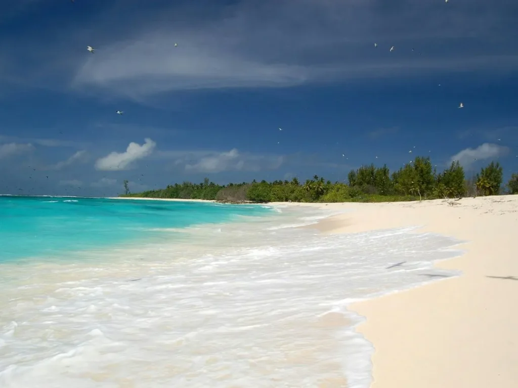 Bird island - Seychelles