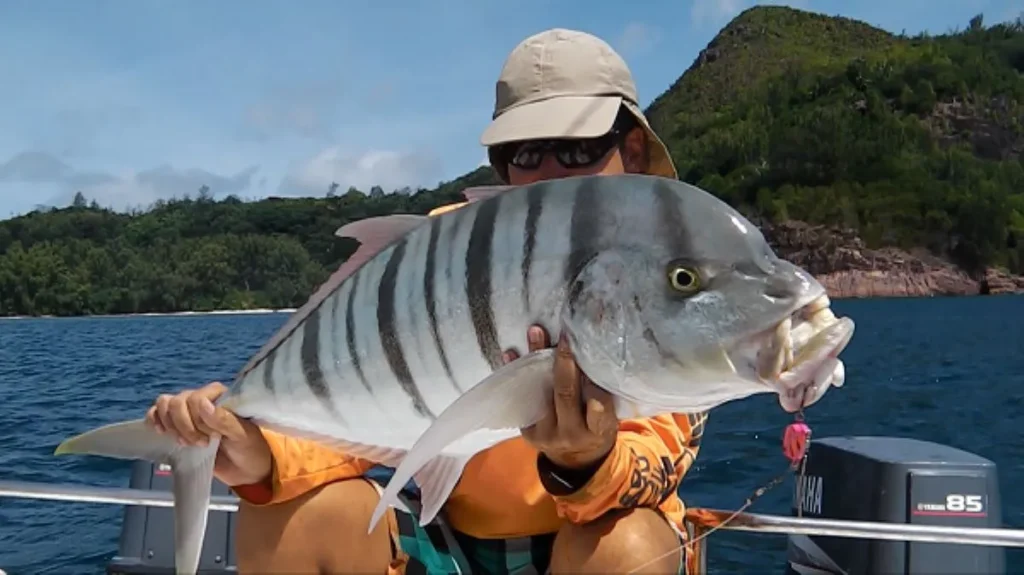 Fishing in Seychelles