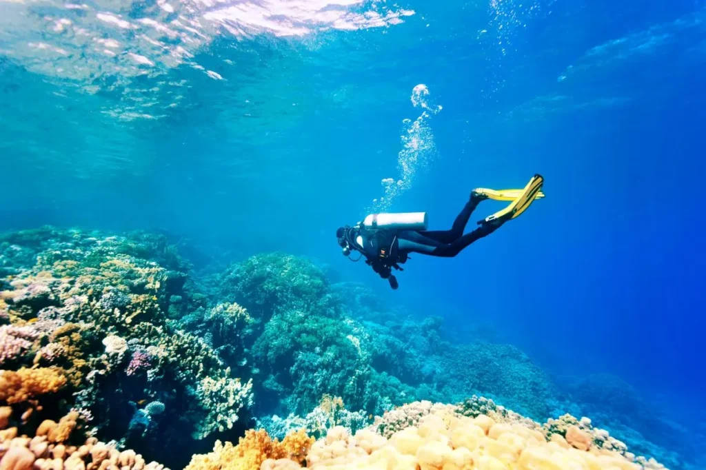 Napoleon Rock - Best Scuba Diving Spots in Seychelles