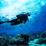 Scuba Diving - Seychelles