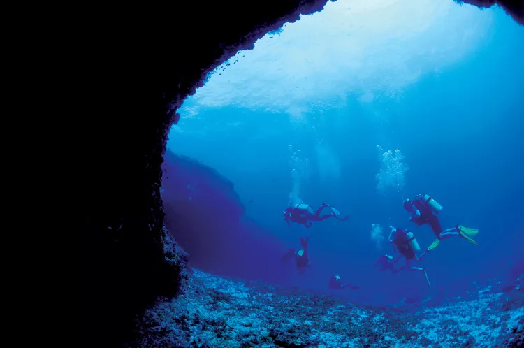 Secret Passage - Seychelles